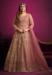 Picture of Statuesque Net Rosy Brown Anarkali Salwar Kameez