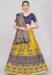 Picture of Graceful Silk Golden Rod Lehenga Choli