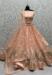 Picture of Resplendent Net Tan Lehenga Choli