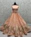 Picture of Resplendent Net Tan Lehenga Choli