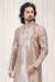 Picture of Alluring Silk Beige Kurtas