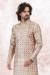 Picture of Shapely Silk Tan Kurtas