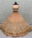 Picture of Enticing Net Burly Wood Lehenga Choli