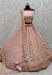 Picture of Wonderful Net Rosy Brown Lehenga Choli