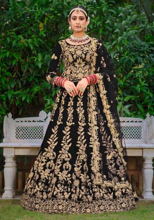 Picture of Pleasing Net Black Lehenga Choli