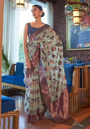 Picture of Taking Organza Grey Saree