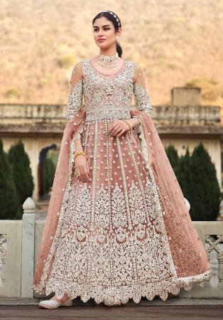 Picture of Wonderful Net Tan Anarkali Salwar Kameez