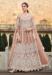 Picture of Wonderful Net Tan Anarkali Salwar Kameez