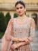 Picture of Wonderful Net Tan Anarkali Salwar Kameez