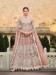 Picture of Wonderful Net Tan Anarkali Salwar Kameez