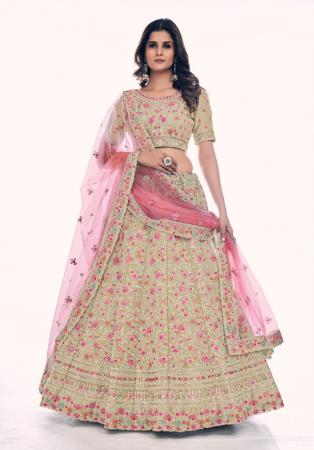 Picture of Fascinating Net Tan Lehenga Choli