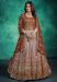 Picture of Elegant Georgette Sienna Readymade Gown