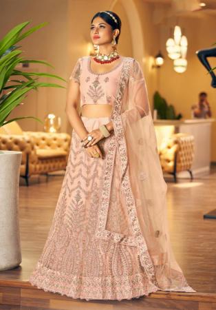 Picture of Pleasing Net Tan Lehenga Choli