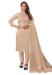 Picture of Statuesque Organza Beige Straight Cut Salwar Kameez