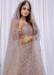 Picture of Charming Net Grey Lehenga Choli