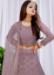 Picture of Radiant Net Plum Lehenga Choli