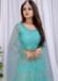 Picture of Pretty Net Medium Aqua Marine Lehenga Choli