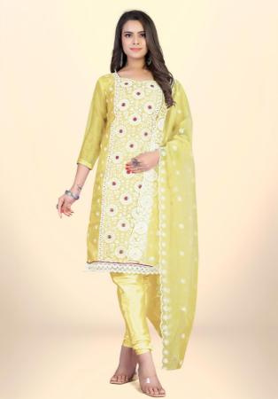 Picture of Admirable Organza Khaki Straight Cut Salwar Kameez