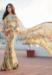 Picture of Admirable Georgette Tan Saree