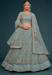 Picture of Enticing Net Light Slate Grey Lehenga Choli