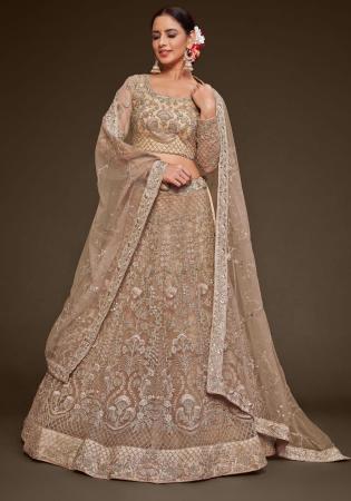 Picture of Superb Net Beige Lehenga Choli