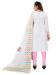 Picture of Cotton Antique White Straight Cut Salwar Kameez