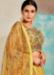 Picture of Splendid Organza Peru Readymade Lehenga Choli