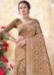 Picture of Resplendent Organza Sienna Saree