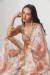 Picture of Sightly Organza Ghost White Saree