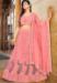 Picture of Grand Net Light Salmon Lehenga Choli