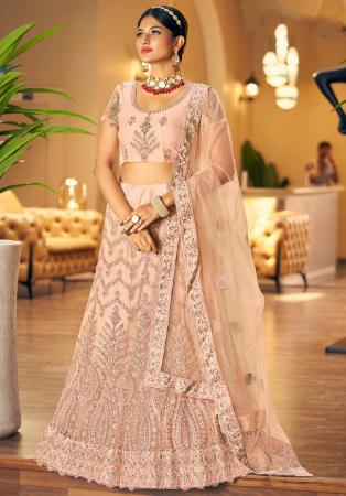 Picture of Fascinating Net Tan Lehenga Choli