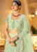 Picture of Taking Net Dark Sea Green Lehenga Choli