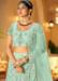 Picture of Nice Net Dark Sea Green Lehenga Choli