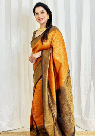 Picture of Fine Silk Chocolate Saree