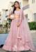 Picture of Taking Chiffon Thistle Lehenga Choli