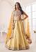 Picture of Radiant Silk Sandy Brown Lehenga Choli