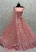 Picture of Nice Net Rosy Brown Lehenga Choli