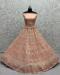 Picture of Delightful Net Grey Lehenga Choli