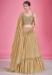 Picture of Resplendent Georgette Tan Lehenga Choli