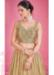 Picture of Resplendent Georgette Tan Lehenga Choli