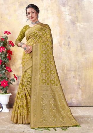 Picture of Excellent Organza Dark Khaki Saree