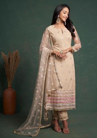 Picture of Taking Net Tan Straight Cut Salwar Kameez