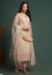 Picture of Splendid Net Beige Straight Cut Salwar Kameez