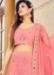 Picture of Grand Net Light Salmon Lehenga Choli