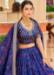 Picture of Admirable Silk Dark Slate Blue Lehenga Choli