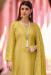 Picture of Admirable Georgette Khaki Straight Cut Salwar Kameez