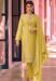 Picture of Alluring Georgette Peru Straight Cut Salwar Kameez