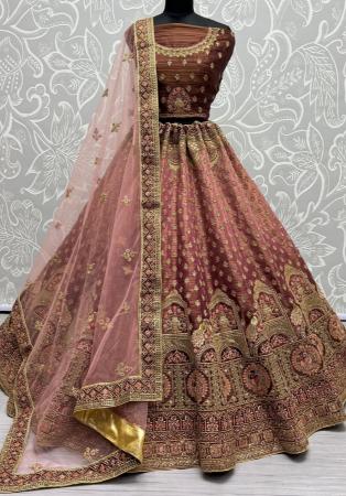 Picture of Shapely Net Sienna Lehenga Choli