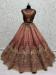 Picture of Shapely Net Sienna Lehenga Choli