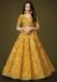 Picture of Beauteous Silk Peru Lehenga Choli